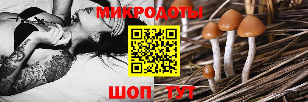 Псилоцибиновые грибы MAGIC MUSHROOMS Жуковский