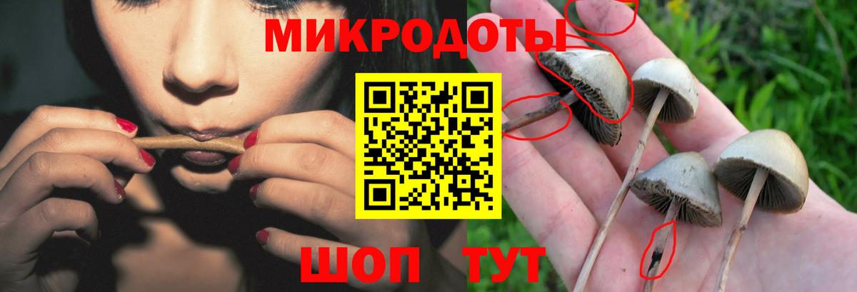 Галлюциногенные грибы MAGIC MUSHROOMS  Вход с VPN  Жуковский 